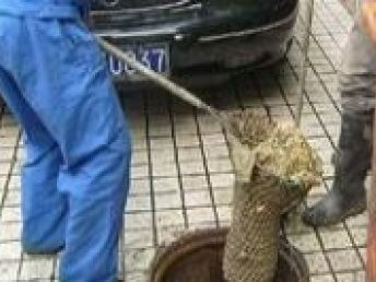 北京专业管道疏通与维修服务 解决疑难下水道、马桶及地漏问题